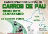 Campeonato Regional de Carros de Pau