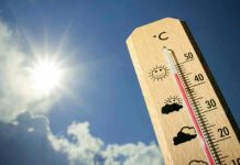 Muito calor no Verão deste ano