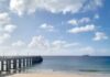 Conservação da Natureza com atividade no Porto Santo