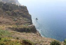 Boa qualidade da água na Ribeira Brava