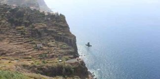 Boa qualidade da água na Ribeira Brava
