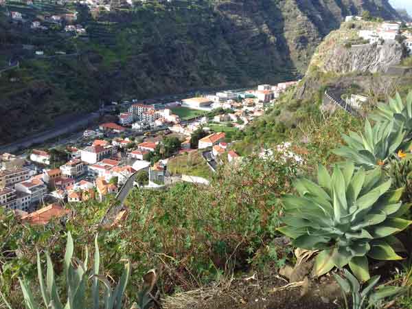 Ribeira-brava