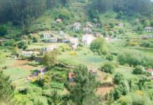 Gastronomia em foco no Santo da Serra