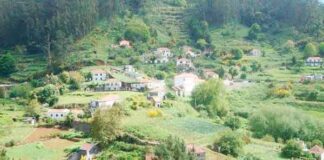 Gastronomia em foco no Santo da Serra