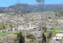 Celebração festiva na paróquia do Carvalhal