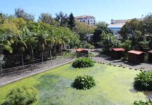 Magia no Jardim em tarde de domingo