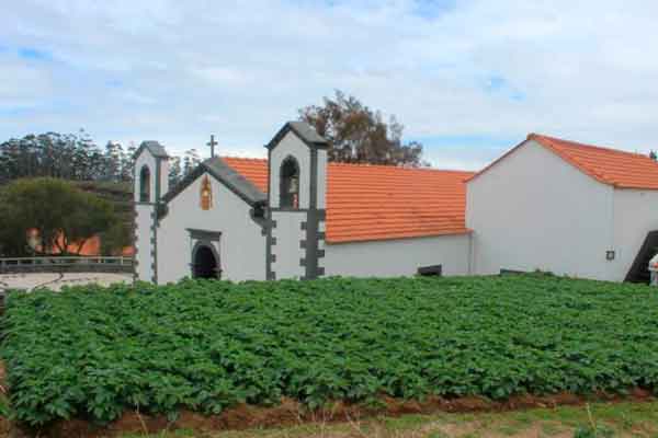 Lamaceiros