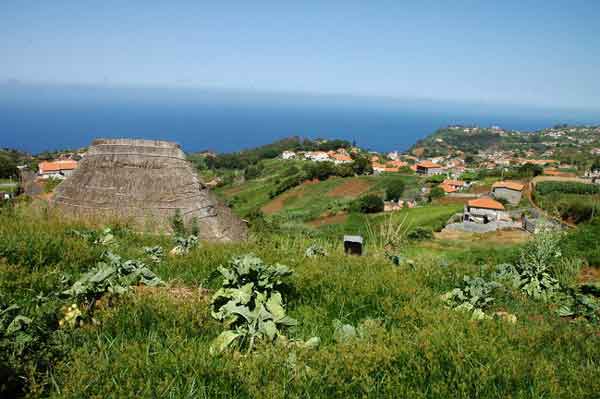 SAO-jorge