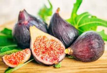 Fajã da Ovelha destaca frutos