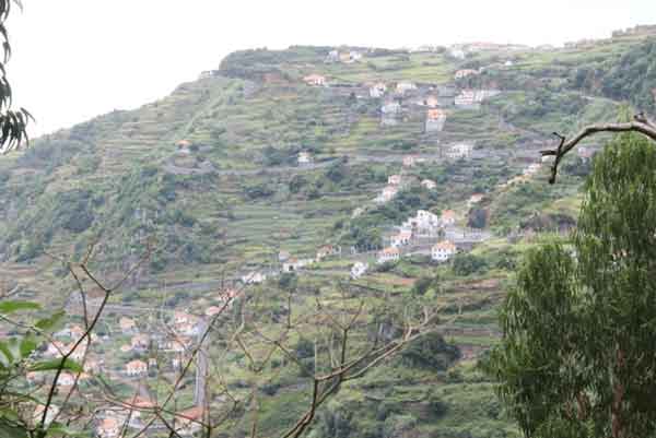 rib-janela