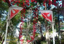 Arraiais em diversas freguesias