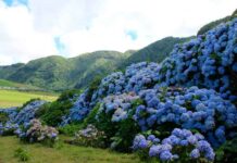 Viagem cultural aos Açores