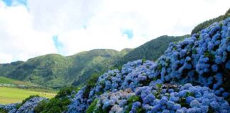 Viagem cultural aos Açores