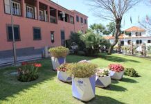 Calheta vai ter festa