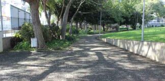 Sorrisinho ambiental no domingo