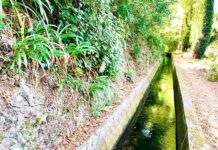 Pelos caminhos da nossa terra