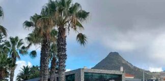 Caminhada solidária no Porto Santo
