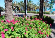 Livros que inspiram no Porto Santo