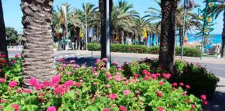Livros que inspiram no Porto Santo