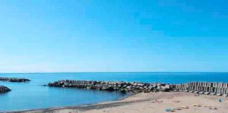 Festa da Família na Calheta