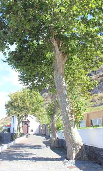 capela-s-Roque